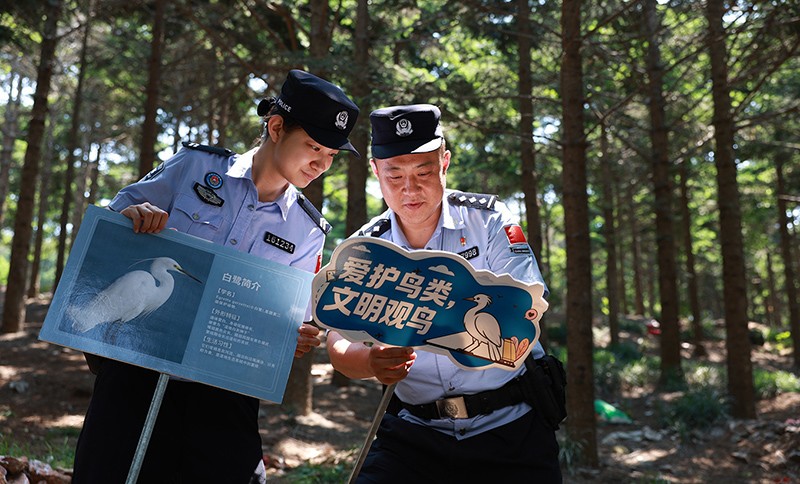 青山有鹭 守护无声 